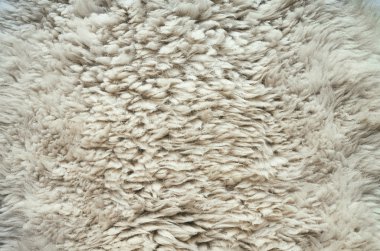 Doğal kabarık düz koyun arka plan doku cilt. Paskalya kartpostal şablonu. Metin, kopyalama, yazı için alan.