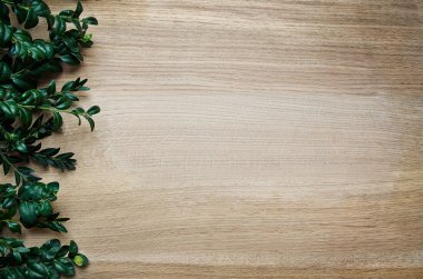 Rustik meşe ahşap arka plan doku kutusu twigs sınırı