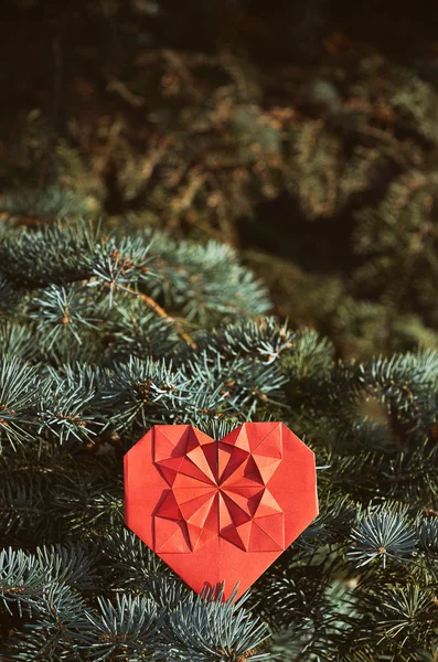 Red paper folded origami heart on green pine tree background. Postcard template. — Zdjęcie stockowe