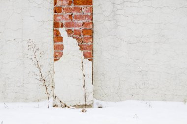 arka planda turuncu duvar çimenleri kar dokuyu çatlatıyor