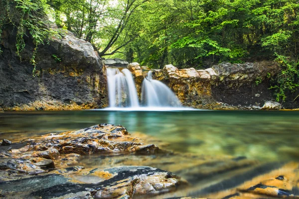 Paisajes colores bosque verano naturaleza no urbana luz solar — Foto de Stock