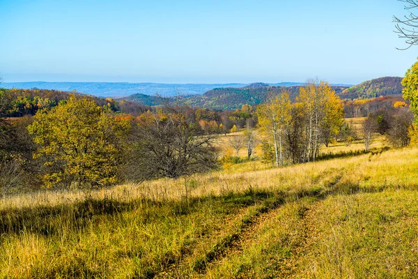 Paisagens floresta cor beleza natureza árvore verde paisagens woodlan — Fotografia de Stock