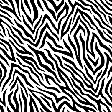 Zebra vektör desen