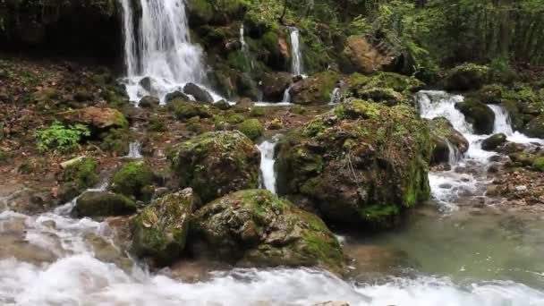 Barenschutzklamm, gorge — Stok video