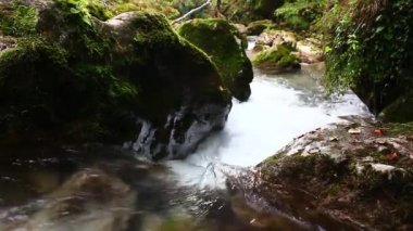 Dağ Akıntısı