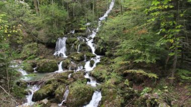 Barenschutzklamm
