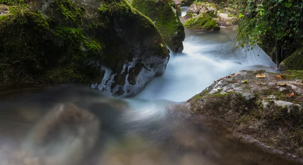 Rzeki rapids — Zdjęcie stockowe