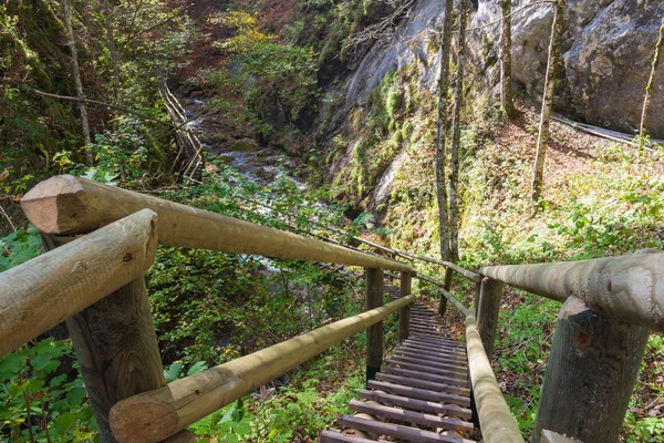 Barenschutzklamm