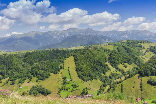 Bran Valley Transilvânia — Fotografia de Stock