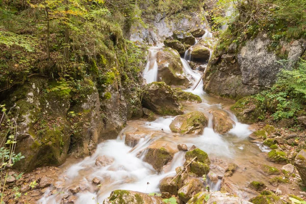 Barenschutzklamm Jogdíjmentes Stock Képek