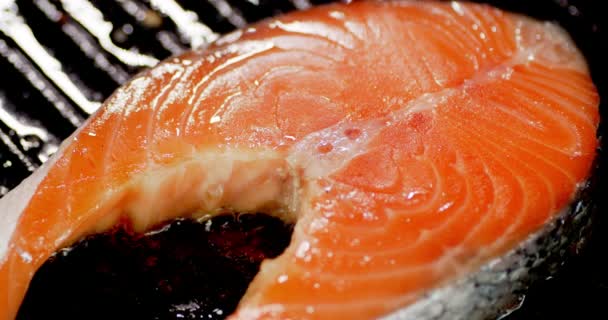 Fresh salmon steak is fried with spices in a frying pan. — Stock Footage Fresh salmon steak is fried with spices in a frying pan. Stock Video