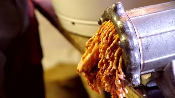 Meat grinder grinds meat — Stock Video