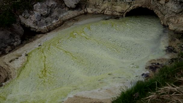 Fuites d'eau sale de l'étang 