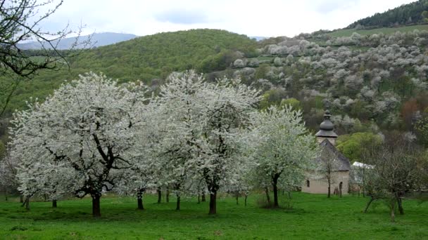 La iglesia evangélica forma 1696 en Brdarka, Eslovaquia — Vídeo de stock