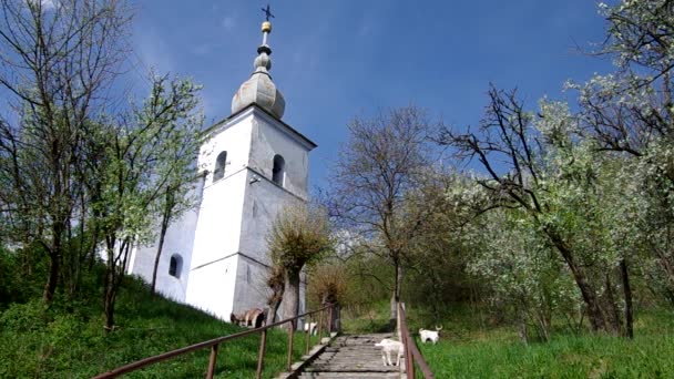 The Evangelical church in Slavoska, Slovakia — Stock Video