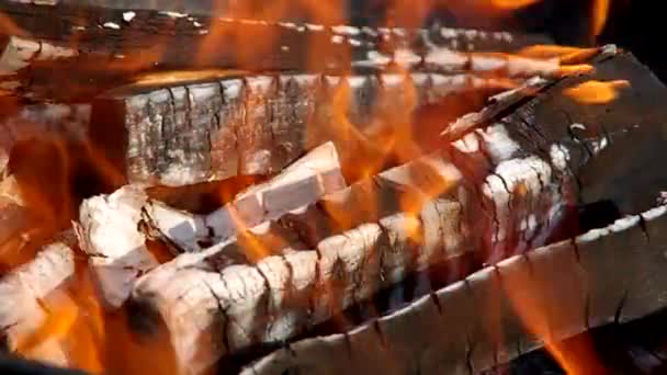 Queima de madeira no sol — Vídeo de Stock