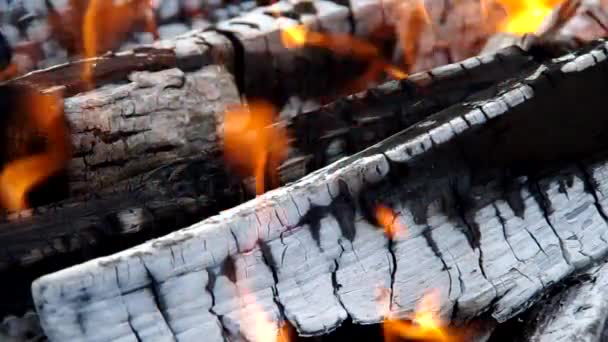 Verbranden van hout op de zon — Stockvideo