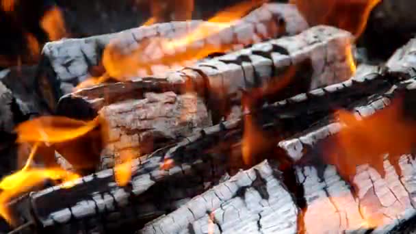 Bonita madera ardiendo — Vídeo de stock