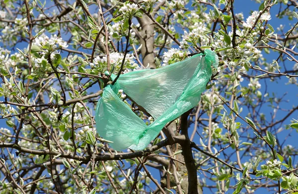 Bir ağaç üzerinde bir plastik torba — Stok fotoğraf