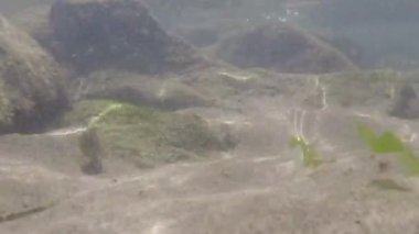 Denizin dibindeki deniz yaşamı manzarası