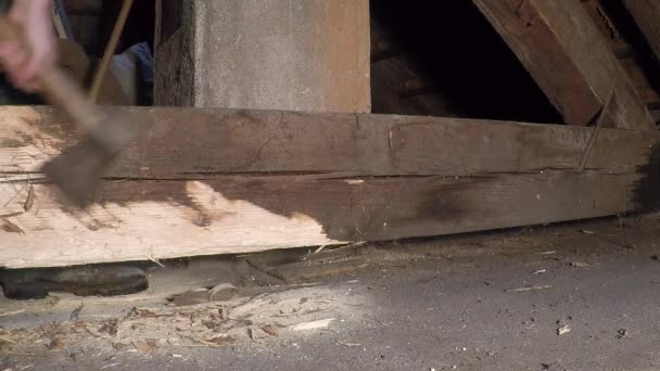 用斧头砍柴 棱镜布满了破坏木材的昆虫 — 图库视频影像