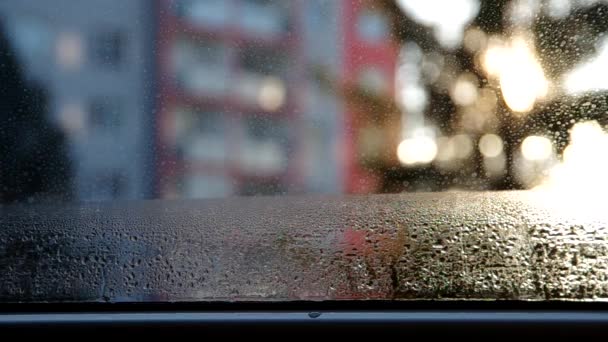 Condensación Vidrio Ventana Durante Clima Frío Alta Humedad Habitación — Vídeo de stock