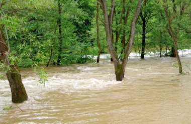 ağır yağmur sonrası Nehri taştı