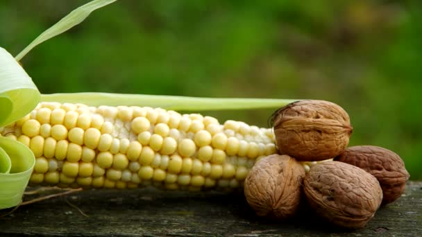 Corn and walnuts on wooden table — Stock Video