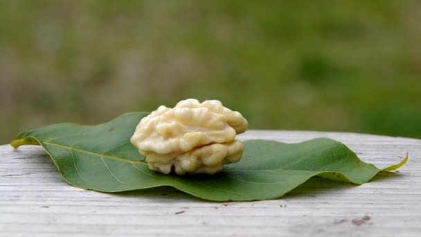 Nueces limpias — Vídeos de Stock