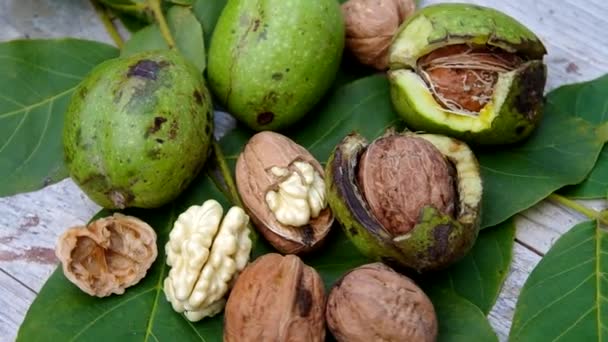 Los frutos otoñales de la naturaleza - las nueces — Vídeo de stock