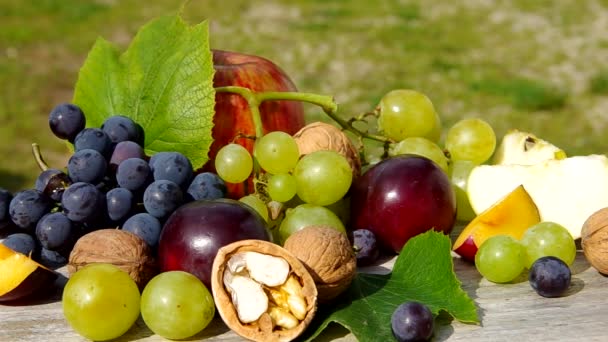 Diversos frutos naturales de otoño — Vídeo de stock