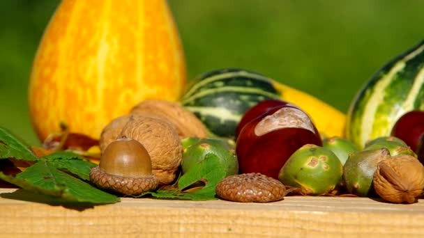 Los frutos de la naturaleza en otoño — Vídeo de stock
