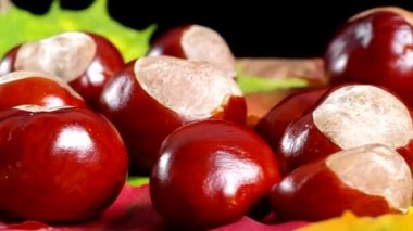 Sonbahar meyveler, kestane