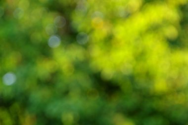 Yeşil soyut arkaplan