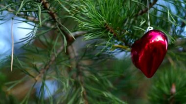 İğne yapraklı ağaçlar üzerinde Noel dekorasyon