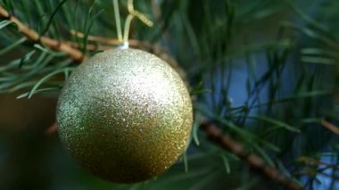 İğne yapraklı ağaçlar üzerinde Noel dekorasyon