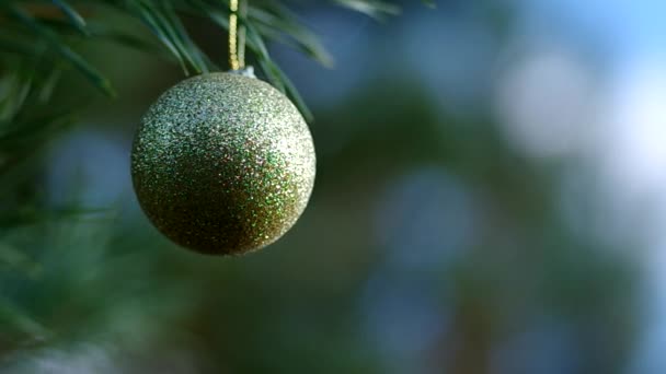 Decoración de Navidad sobre árboles de coníferas — Vídeo de stock