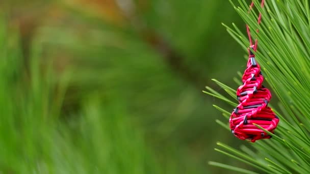 Weihnachtsdekoration an Nadelbäumen — Stockvideo