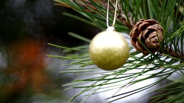 Kerstdecoratie op naaldbomen — Stockvideo