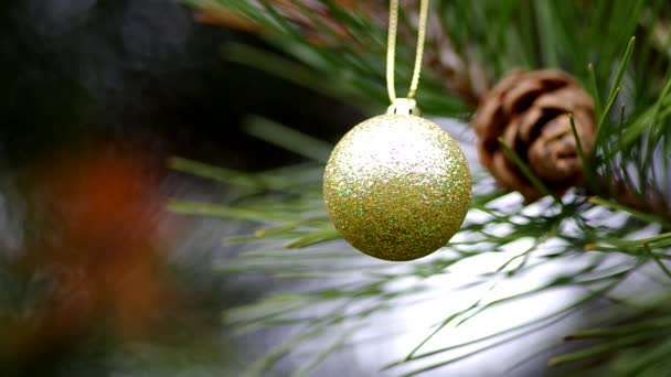 Christmas decoration on coniferous trees — Stock Video