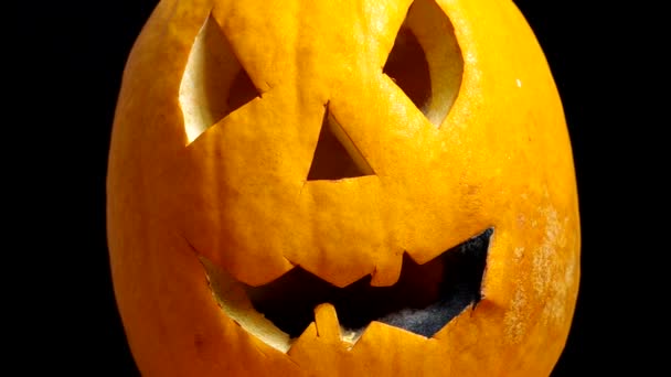 Halloween kabaklar — Stok video