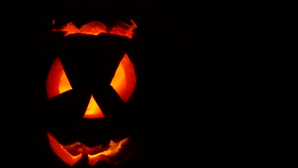 Zucche di Halloween — Video Stock