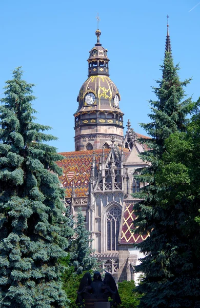 Catedral de Santa Isabel, Kosice, Eslovaquia — Foto de Stock