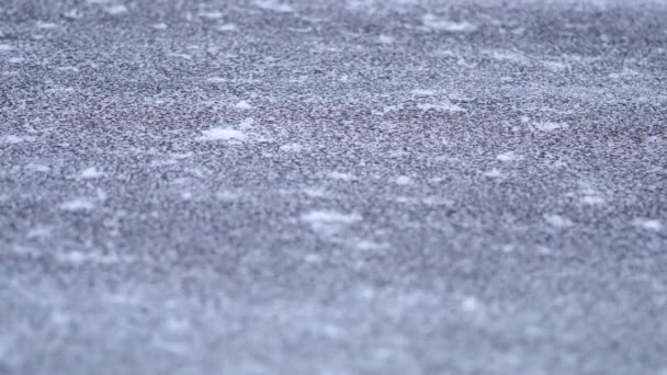 Падає сніг на проїжджій частині — стокове відео