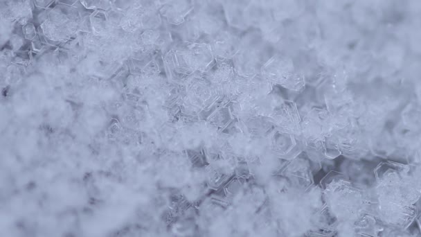 Cristales de agua congelados — Vídeo de stock