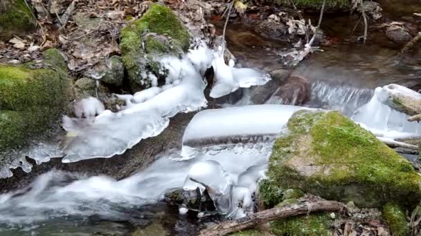 Freezing stream — Stock Video