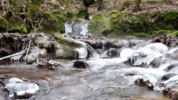 Wasserfall im Nationalpark Slowakischer Karst, im Dorf Haj im Winter — Stockvideo