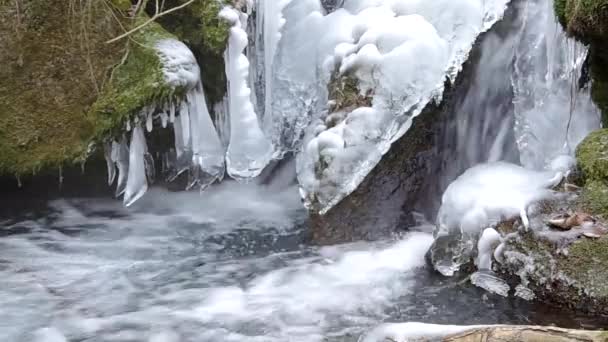 Freezing stream — Stock Video