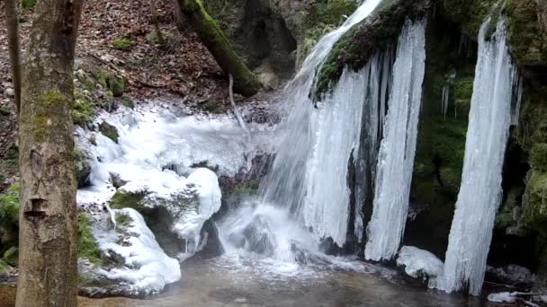 Cascade dans le parc national Karst slovaque, dans le village nommé Haj en hiver — Video