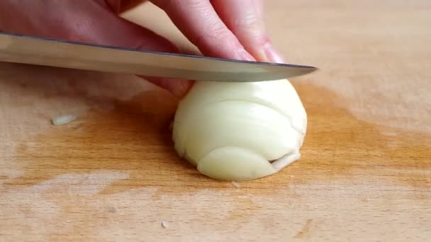 Krojenie cebuli — Wideo stockowe